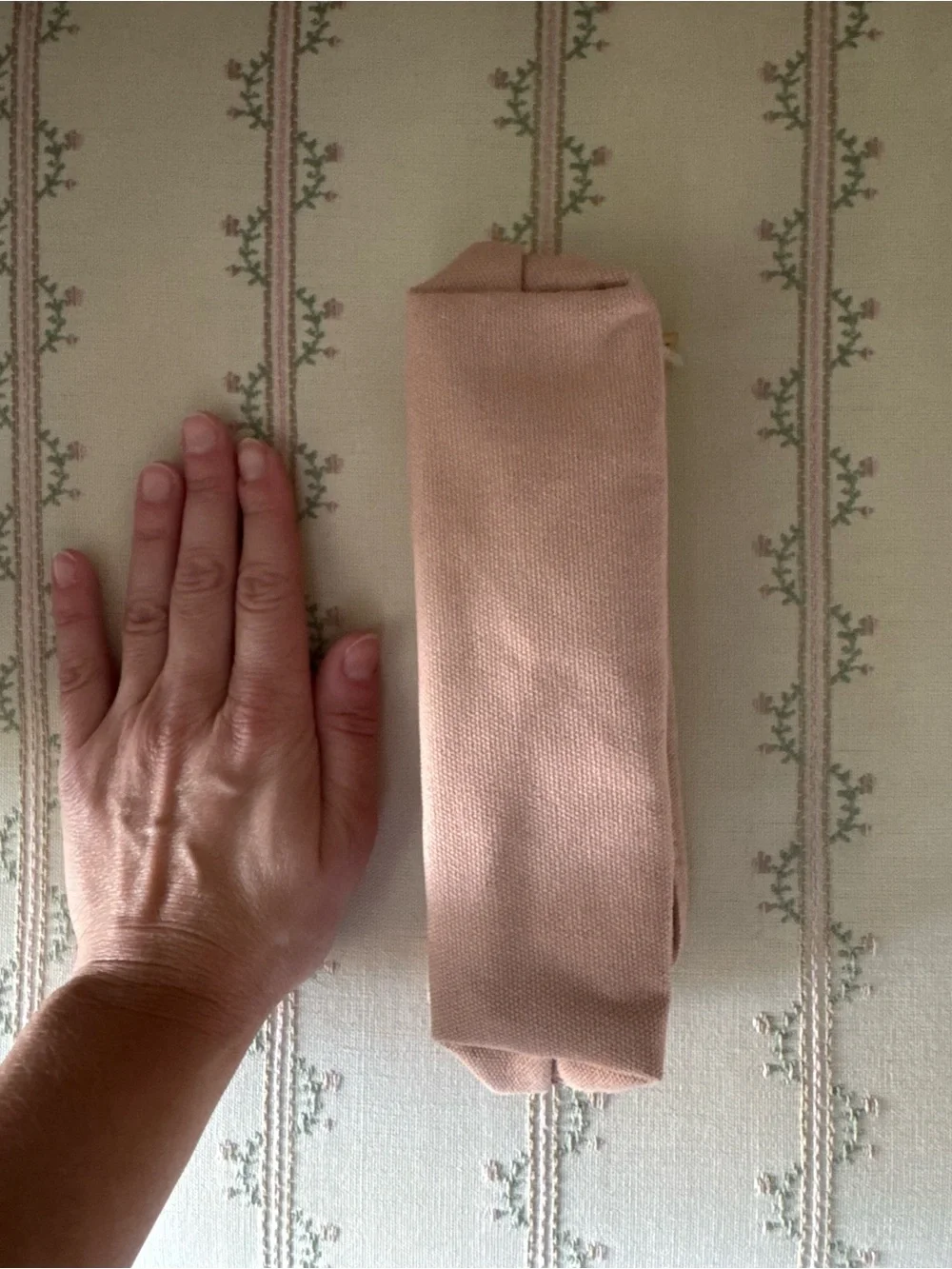 Ilia Makeup Bag - New